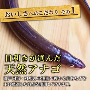 焼あなご(2～3串)【2402D00701】