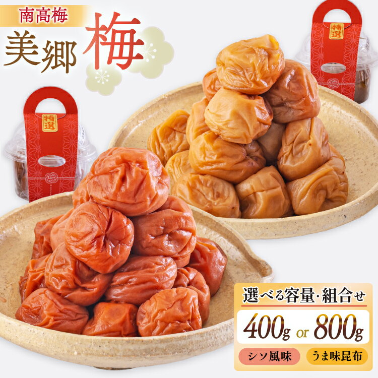 【ふるさと納税】梅干し 南高梅 美郷梅 選べる 内容 昆布 シソ 風味 セット 3L サイズ 400g or 800g [農林産物直売所 美郷ノ蔵 宮崎県 美郷町 31ab0130] 梅 国産 A級品 個包装 詰め合わせ 食べ比べ