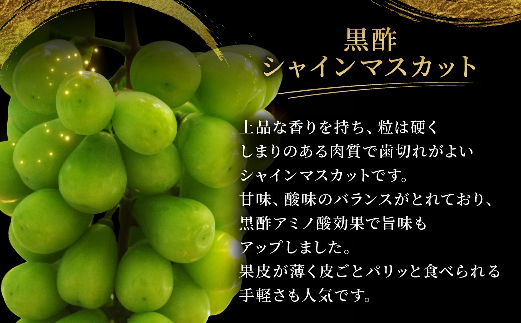 【 年3回定期便 （ 毎年8月 ・ 9月 ・ 10月お届け予定 ） 】 かねひろの旬のフルーツ定期便プレミアム