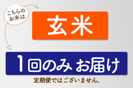 〈R8年 新米受付〉【玄米】サキホコレ 10kg (5kg×2袋) 秋田県産 特別栽培米 令和8年産 お米【1回のみお届け】