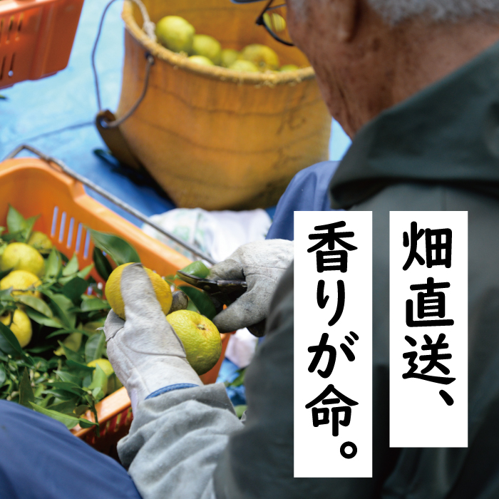 柚子ジュース 詰め合わせ バラエティセット/23本入×2箱 ゆず ジュース ドリンク フルーツジュース 清涼飲料水 飲料 はちみつ 有機 オーガニック 無添加 産地直送 プレゼント ギフト 贈り物 贈