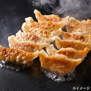 2773 かごしま 夢幻豚 餃子 12個 × 5P KN021-037-01 肉 豚肉 惣菜 総菜