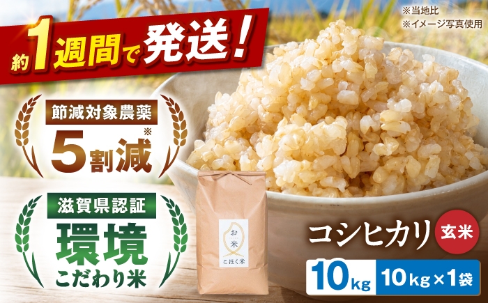 
                  【 令和7年産】こしひかり 玄米 10kg × 1袋 農家直送 コシヒカリ 米 ご飯 玄米 ごはん おにぎり お弁当 お米 滋賀県 長浜市/株式会社エース物産 [AQAK003]
                