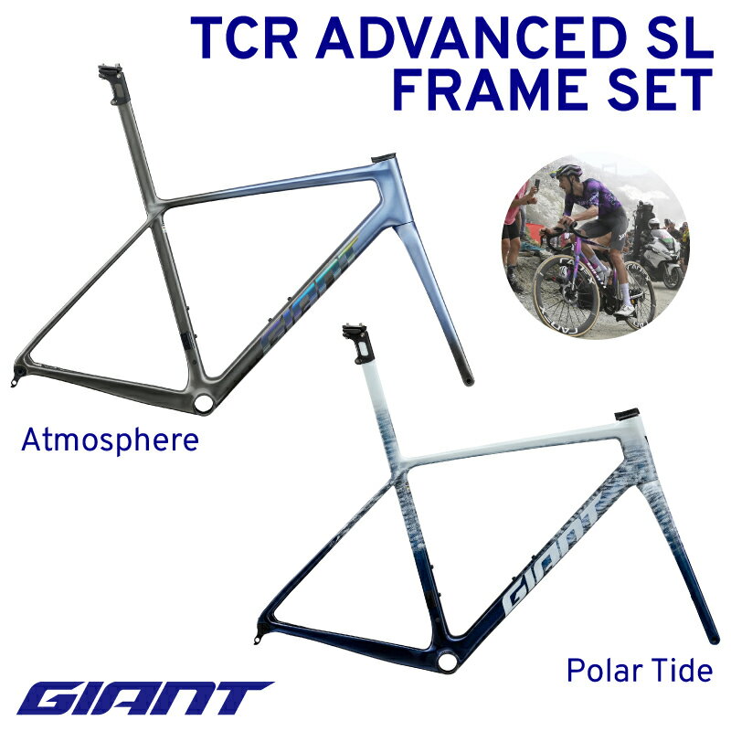 【ふるさと納税】 【フレームのみ】GIANT TCR ADVANCED SL FRAMESET｜ ジャイアント ロードバイク 自転車 レース カーボン 東レ