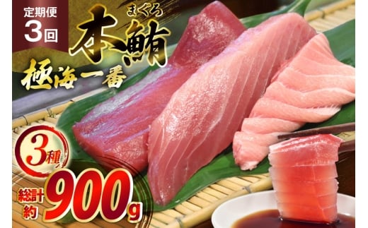 マグロ 切り身 極海一番 3種 セット 300g 3回 定期便 総計900g 詰め合わせ 食べ比べ [囲炉裏料理エビス亭 長崎県 平戸市 hr42bgy390027] まぐろ 刺身 料亭 赤身 中とろ 大トロ 柵 おつまみ 冷凍 高級 寿司 すし