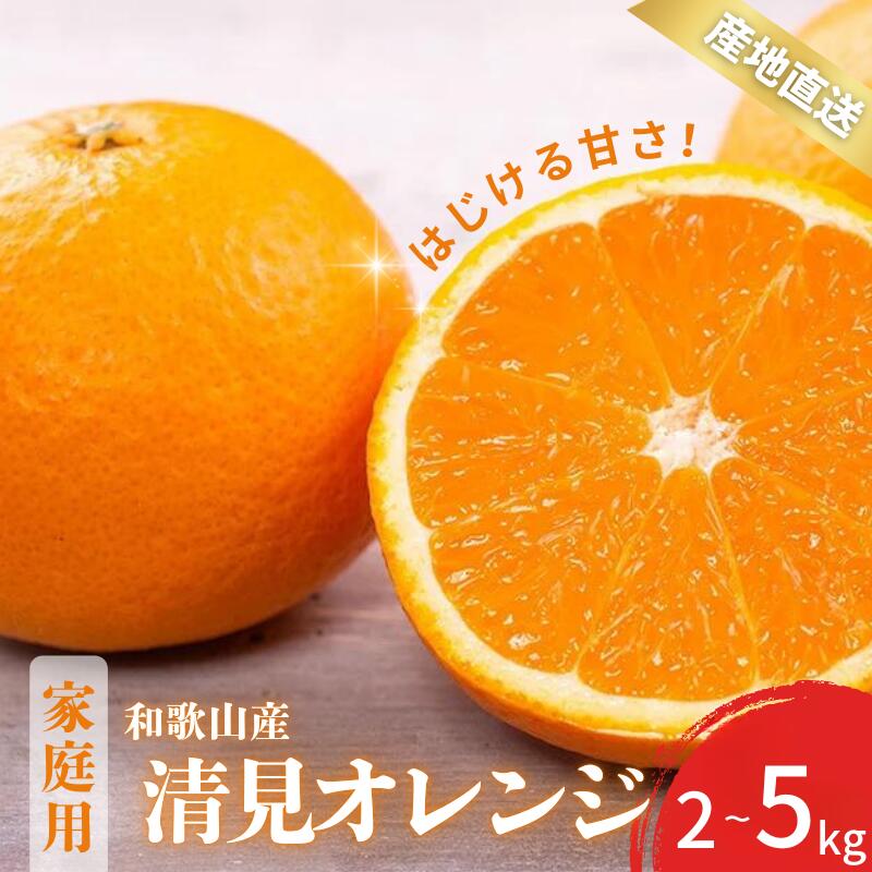 【ふるさと納税】 【先行予約】 清見 オレンジ 訳あり 家庭用 和歌山 有田 S～2Lサイズ 大きさお任せ 【選べる容量】 2kg 3kg 5kg 【2月中旬～3月下旬頃に順次発送】/ みかん フルーツ 果物 くだもの 蜜柑 柑橘 オレンジ おれんじ