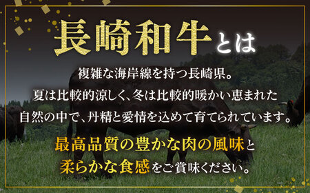 【3回定期便】長崎和牛 シャトーブリアン 200g×2枚 ヒレステーキ ヒレ フィレ ステーキ肉 大人気 希少部位 東彼杵町/有限会社大川ストアー [BAJ102] / シャトーブリアン ヒレステーキ