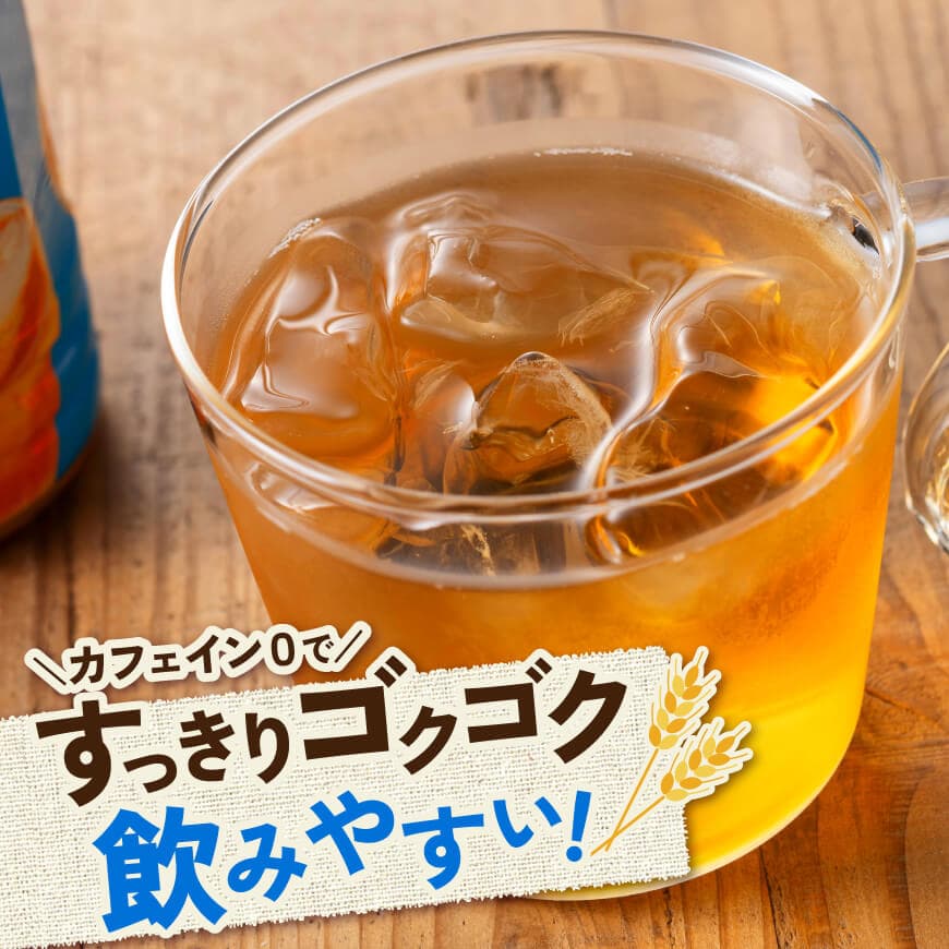 サンA宮崎のむぎ茶　500ml PET×18本×2ケース 【 飲料 お茶 麦茶 宮崎県産 ペットボトル 】 [C03022]