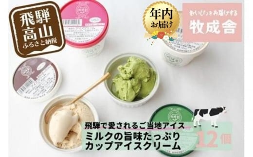 
            【年内配送が選べる】＜牧成舎＞ 飛騨の牛乳屋が作る ミルクの旨味たっぷり カップアイスクリーム 12個入り（バニラ/抹茶/いちご/ラムレーズン 各3個）| 発送時期が選べる 年内発送 デザート 牧場 アイス 人気 おいしい 牛乳 ギフト 飛騨高山 牧成舎 DF018VP
          