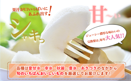 【先行予約】 訳あり 梨 荒尾梨 約 4.5kg ～ 5kg (6～18玉前後) 秋 旬 目野果実直売所《8月上旬-9月末頃出荷》熊本県 荒尾市産 なし フルーツ 果物 新鮮 愛甘水 幸水 秋麗 豊水