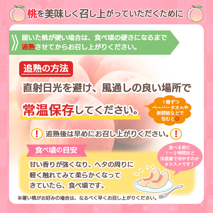 山形の桃(硬い品種)3kg(6～12玉) 【令和8年産先行予約】FU21-629