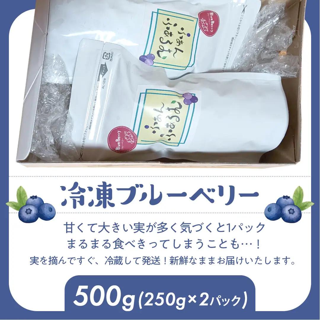 茨城県産 冷凍 ブルーベリー 合計 500g (250g×2袋) 多品種 果実 果物 くだもの フルーツ おやつ ブルーベリー ベリー ジャム 小分け[DZ003sa]