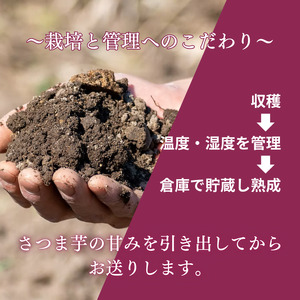 東庄町産　さつま芋（紅はるか）　5kg ／ さつま芋 さつまいも サツマイモ 薩摩芋 甘藷 唐芋 紅はるか べにはるか ベニハルカ 芋 いも イモ 農薬不使用 化学肥料不使用 除草剤不使用 産地直送 