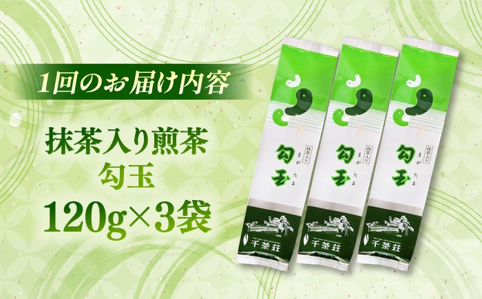 お茶 日本茶 煎茶 抹茶 銘茶 セット ティータイム 島根 松江 おすすめ 人気