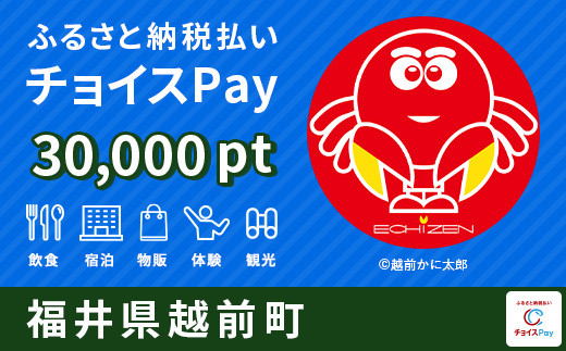 
越前町チョイスPay 30,000pt（1pt＝1円）【会員限定のお礼の品】
