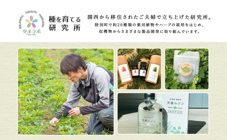無地熨斗 北海道 クラフトジン 天使のジン 100ml お酒 ジン ハーブ トウキ 酒 アルコール 45％ 洋酒 ボタニカル トウキ葉 天使のハーブ 薬用植物 ジャパニーズジン お取り寄せ ギフト 贈