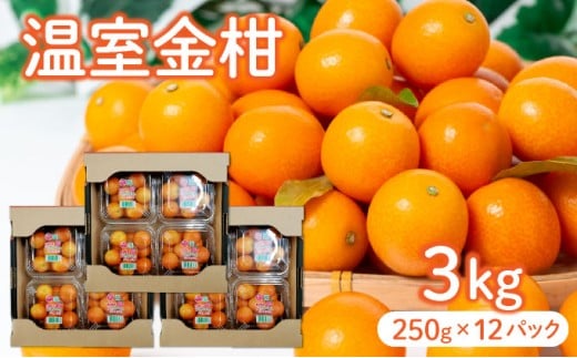 【先行予約】＜2026年発送＞温室金柑 1kg 3箱（250g×12パック） 果物 果肉 果汁 フルーツ デザート おやつ スイーツ 金柑 完熟 完熟きんかん 完熟金柑 おすすめ 贈り物 贈答 プレゼント ギフト グルメ 特産品 お取り寄せ_K001-027