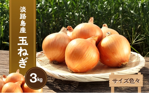 淡路島産玉ねぎ 3kg サイズ色々 野菜 淡路島産 玉ねぎ 玉葱 善太 兵庫県 洲本市 淡路島 [№5395-0329]