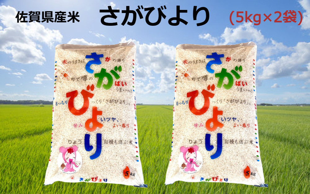 
            佐賀県産米さがびより(5kg×2袋)
          