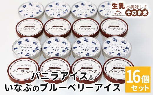 〈即日発送〉マダガスカル産バニラビーンズ香る！バニラアイスクリーム＆いなぶのブルーベリーアイス (80ml)×16個セット バニラアイス ブルーベリーアイス バニラ 生乳 ミルク  根羽村 ネバーランド 12000円