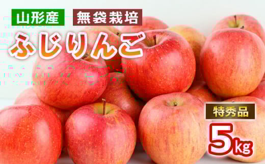 山形産 無袋栽培 ふじりんご 特秀 5kg (13～20玉) FY25-816