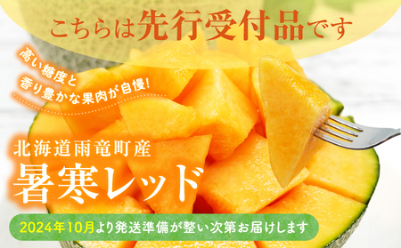 【令和6年産先行受付】北海道メロン 暑寒レッド 2玉 (3.2kg以上×1箱)《2024年10月より発送予定》