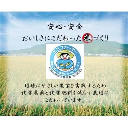 ★令和8年産 新米★ にじのきらめき 精米 3kg(令和8年10月～順次発送/2026年産)【1659491】