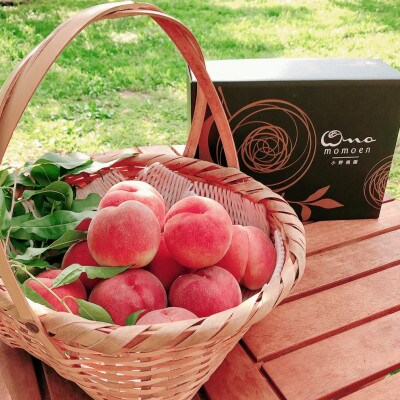 【有名レストラン採用】リピーターNo.1樹上完熟桃ギリギリ限界まで完熟2025年7月下旬より発送【配送不可地域：離島・北海道・沖縄県・中国・四国・九州】