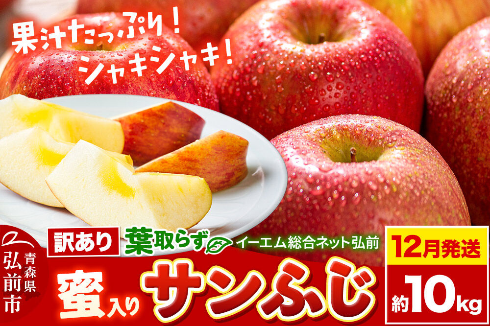 【26年12月発送】りんご 葉取らず サンふじ【訳あり】約10kg【蜜入り】糖度13度以上 EMりんご 林檎 リンゴ 果物 くだもの フルーツ 青森県 弘前市 不揃い 規格外 [先行予約 家庭用 産地直送 アップル 青森県 弘前市]