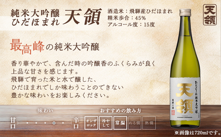 「純米 飲みくらべ」Bセット特別純米酒 飛切り（720ml×1本）/純米大吟醸ひだほまれ天領（720ml×1本）【2-4】
