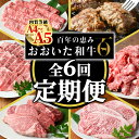 【ふるさと納税】＜ 定期便 ・全6回(連続)＞おおいた 和牛 定期便 (総量4.33kg) 国産 牛肉 肉 霜降り A4 A5 黒毛和牛 ステーキ すき焼き しゃぶしゃぶ 焼肉 ヒレ フィレ 豊後牛 ブランド牛 冷凍 ハンバーグ【HE12】【(株)吉野】