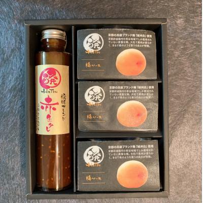 ふるさと納税 安城市 醗の赤生タレ　醗酵ブレンド　1本+ミネラル醗酵梅ソース3個(化粧箱入り)