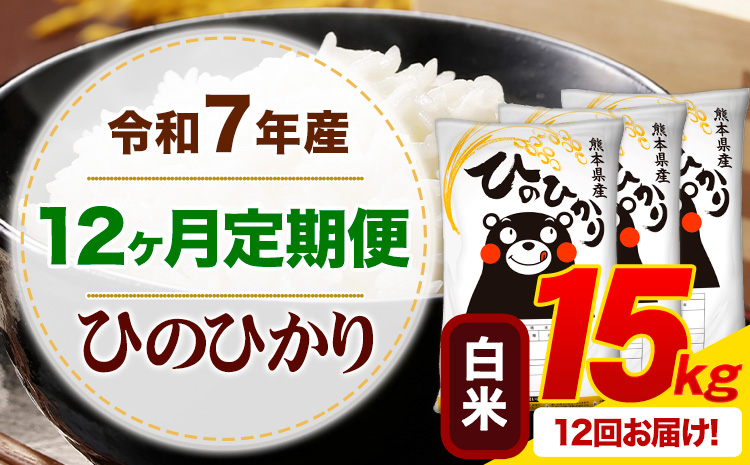 【12ヶ月定期便】 令和7年産 白米 ひのひかり 定期便 15kg《お申込み翌月から出荷》 熊本県産 ふるさと納税 精米 ひの 米 こめ ふるさとのうぜい ヒノヒカリ コメ お米---mifune_lcl_1018_mo12---