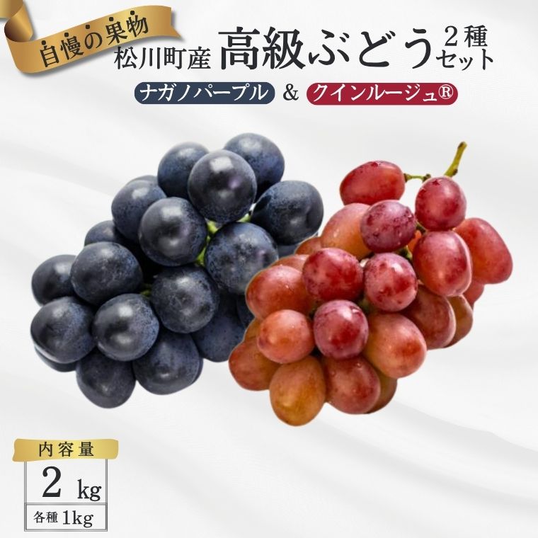 【ふるさと納税】ぶどう2種セット （ナガノパープル・クイーンルージュ） 約2kg 贈答 ／ 2026年9月中旬～10月頃 配送予定 [TK31]