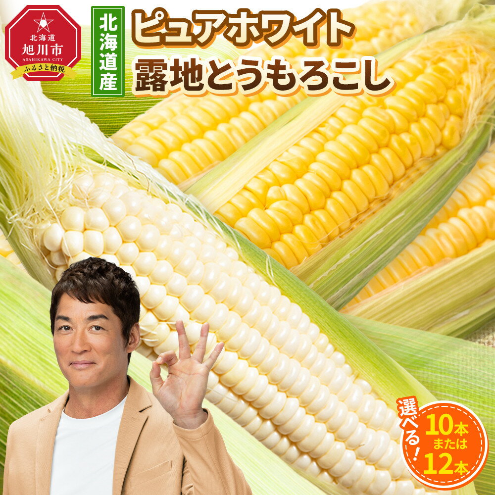 【ふるさと納税】【先行予約】【種類選択可能】北海道産ピュアホワイト・露地とうもろこし　計10本～12本 2025年8月下旬から発送開始予定 | とうもろこし ピュアホワイト 高評価 ランキング 露地栽培 コーン 甘い 糖度 野菜 夏野菜 旬 お取り寄せ 旭川市 北海道
