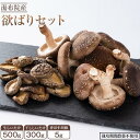 【ふるさと納税】【欲ばりセット】湯布院産 （生しいたけ500g+干ししいたけ300g+香ぼす胡椒）｜栽培期間農薬不使用 | シイタケ 干し椎茸 乾燥しいたけ きのこ 詰め合わせ スパイス 胡椒 調味料 返礼品 支援 お取り寄せグルメ お取り寄せ グルメ 湯布院 由布院