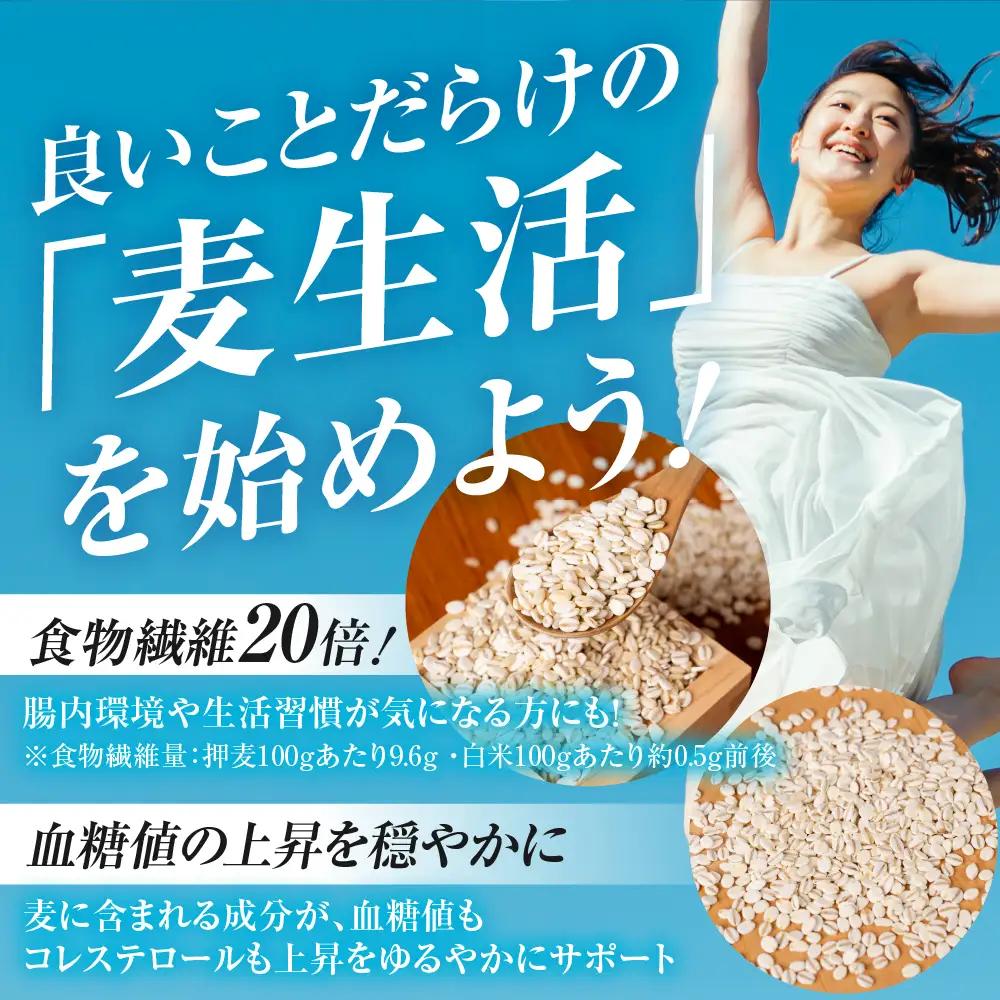 国産スーパー大麦＋宝麦（押麦） 5kg 麦 むぎ 大麦 押麦 国産 麦ごはん とろろごはん 麦飯 麦めし 米 麦味噌 麦みそ