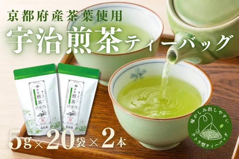 宇治・煎茶ティーバッグ 5g×20個×2袋 (煎茶 緑茶 ティーバッグ