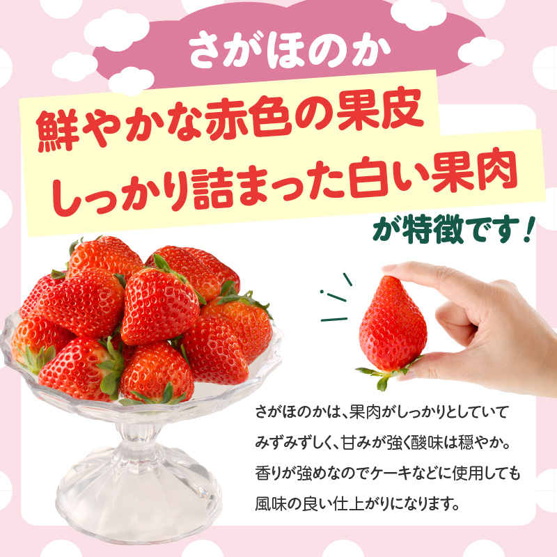★予約受付★希少！白いちご「淡雪（あわゆき）」と「さがほのか」ギフトセット　2025年1月〜4月中に順次配送
