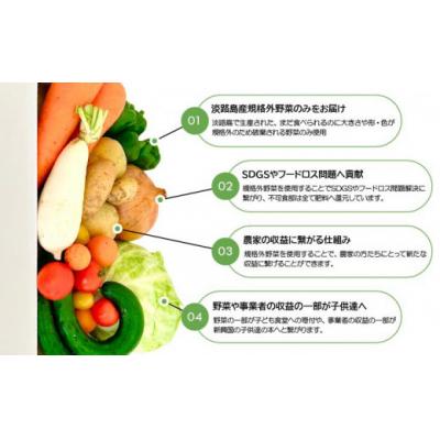 ふるさと納税 南あわじ市 【シーサイドグロサリー】淡路島産規格外野菜ボックス・Lサイズ(4〜5人向け) |  | 01