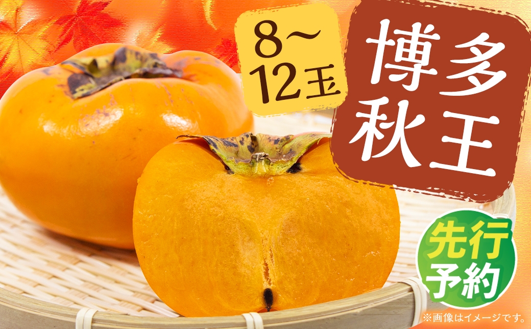 
                  博多 秋王 8～12玉 柿 甘柿 果物 フルーツ お取り寄せ 福岡県産 九州 【2026年10月上旬から11月上旬まで順次発送予定】
                