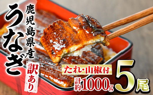 【0304313a】<訳あり>東串良町のうなぎ蒲焼(無頭)(5尾以上・計約1kg・タレ、山椒付) うなぎ 高級 ウナギ 鰻 国産 蒲焼 蒲焼き たれ 鹿児島 ふるさと 人気【アクアおおすみ】