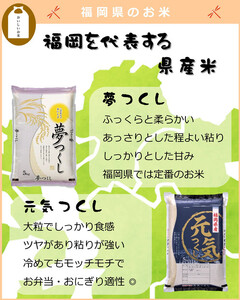 福岡県産 元気つくし 5kg (5kg×1袋) (令和7年産)