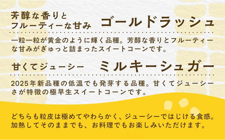 【先行予約】【発送期間は５月中旬～５月下旬】地元の道の駅オライはすぬまで大人気の農家から直送! ジューシーではじける食感が特徴! 朝採り とうもろこし SMCW001 SMCW001
