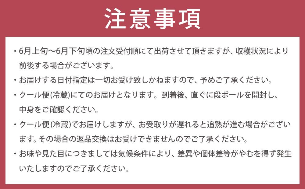 【2026年6月上旬以降発送】紀州南高梅(完熟梅) 5kg〈2Lサイズ〉
