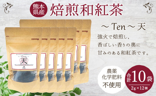 
焙煎和紅茶～Ten～天 (2gx12個) 10袋セット お茶 ティーパック
