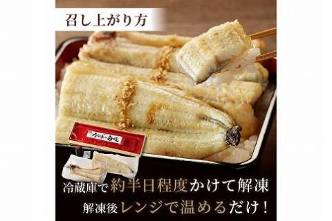 うなぎの白焼き2~3人前(1尾)　AN00073