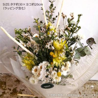 ふるさと納税 糸島市 ドライフラワー スワッグ 《糸島》【PLAISIR】贈り物 花  [ANC005] |  | 01