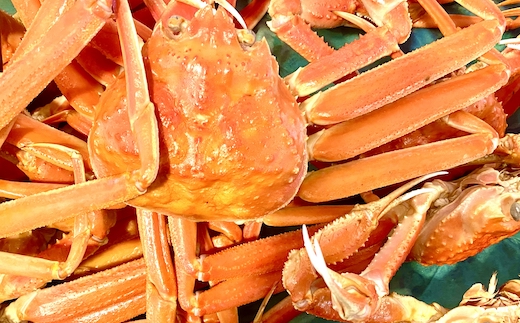 【蒸し】松葉ガニ 500g タグ付