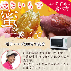 ＜先行予約受付中・2025年8月以降順次発送予定＞鹿児島県曽於市産！新物 紅はるか(10kg) 芋 さつまいも 紅はるか【瀬崎農園】A350-v02